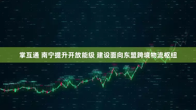 掌互通 南宁提升开放能级 建设面向东盟跨境物流枢纽