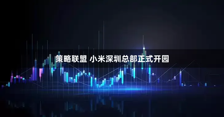 策略联盟 小米深圳总部正式开园