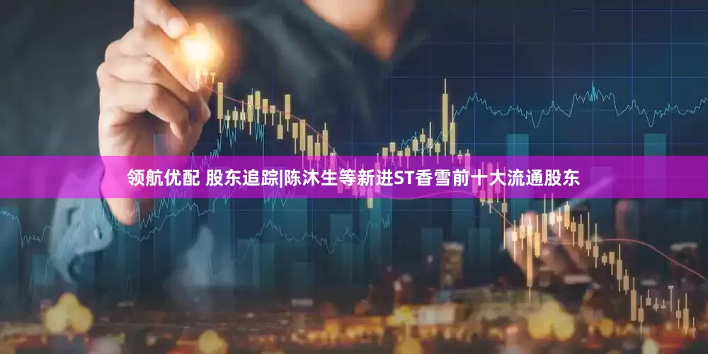领航优配 股东追踪|陈沐生等新进ST香雪前十大流通股东